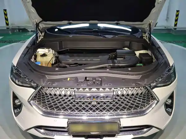 Haval F7 2021