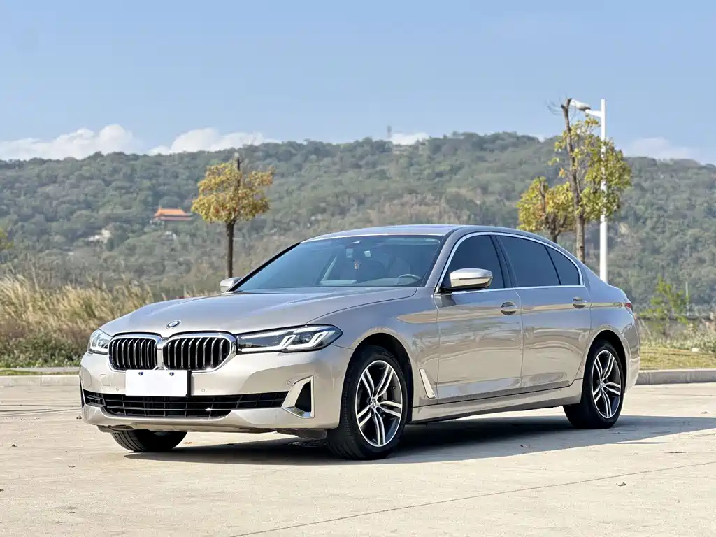 BMW 5 Series 2021