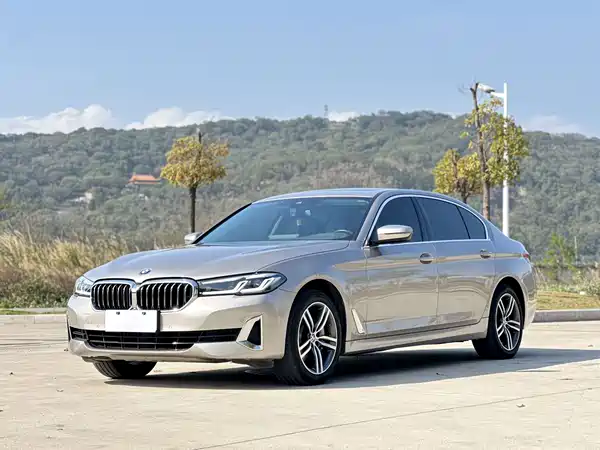 BMW 5 Series 2021
