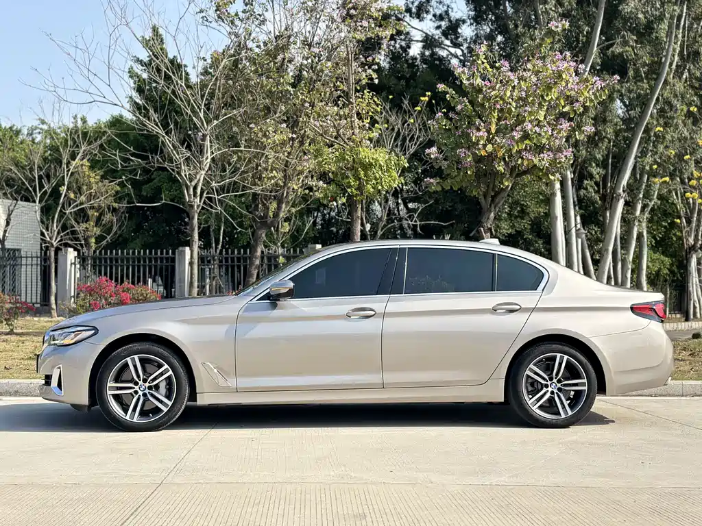 BMW 5 Series 2021