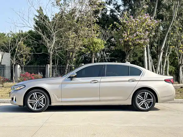 BMW 5 Series 2021
