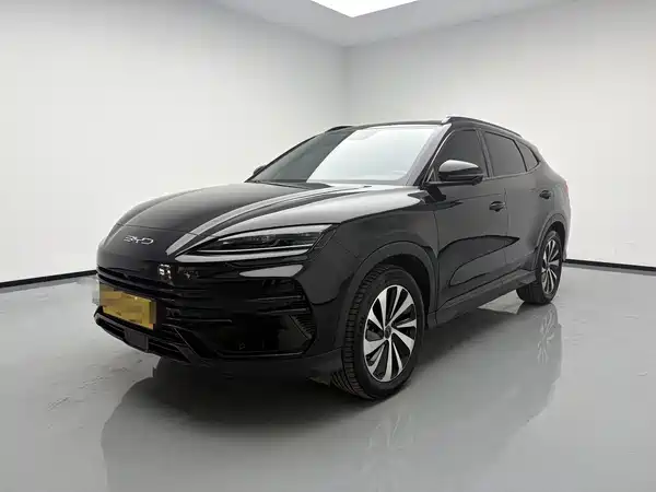 BYD Song PLUS New Energy 2024