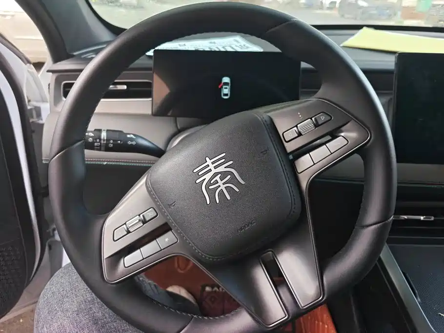 BYD Qin PLUS 2025 — фото 15