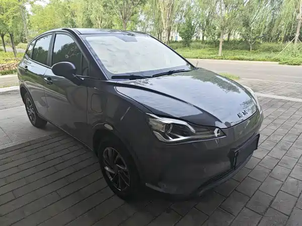 Neta V 2022