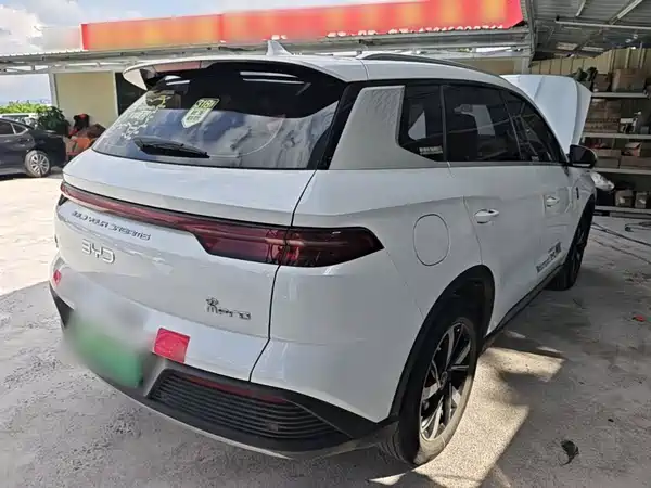 BYD Song Pro New Energy 2024