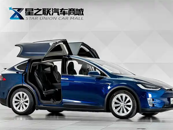 Tesla Model X 2019