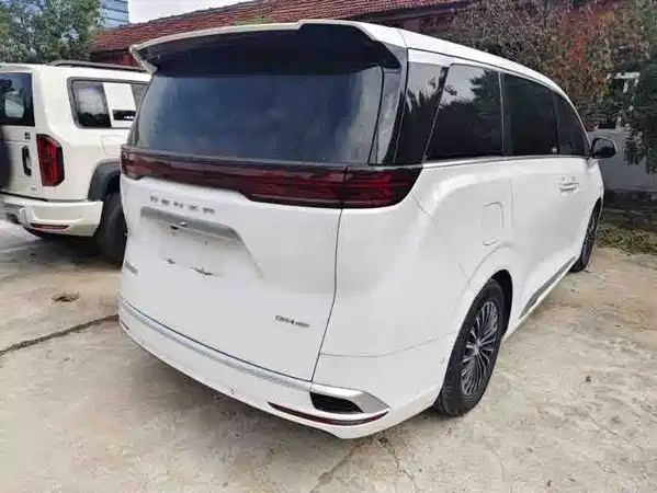 Denza D9 2024