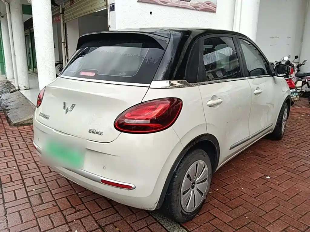Wuling Bingo 2024