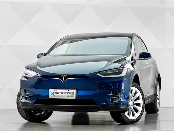 Tesla Model X 2019