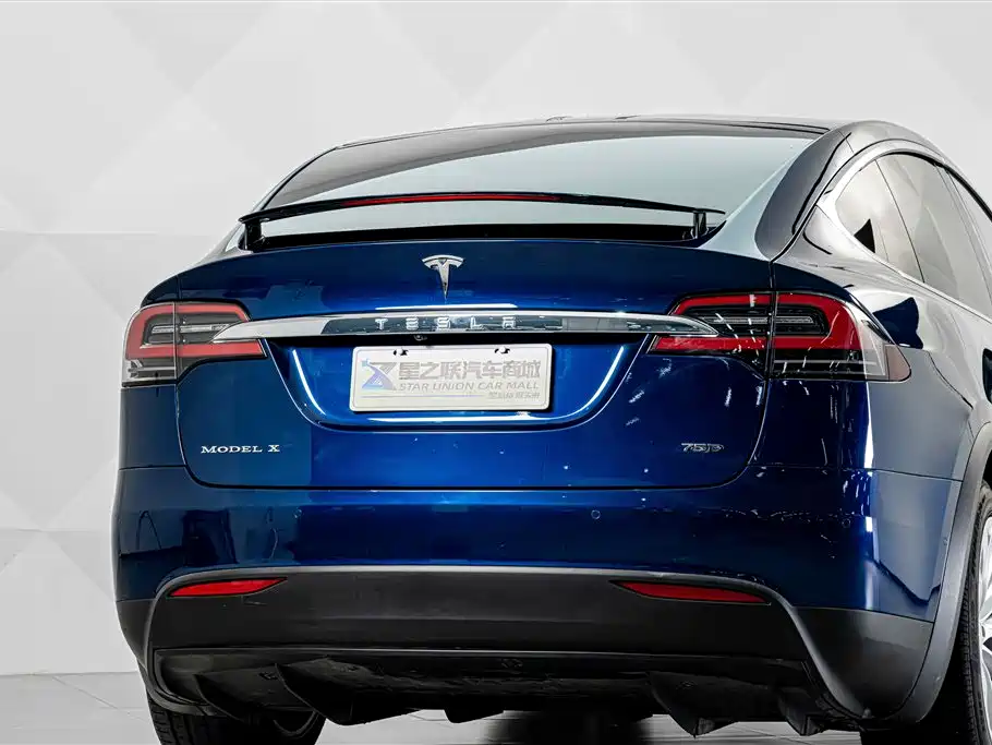 Tesla Model X 2019 — фото 8