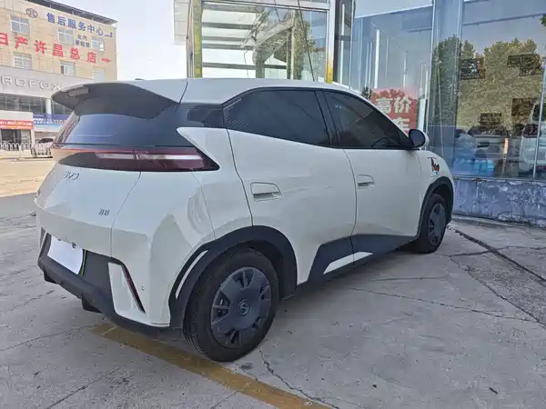 BYD Seagull 2024