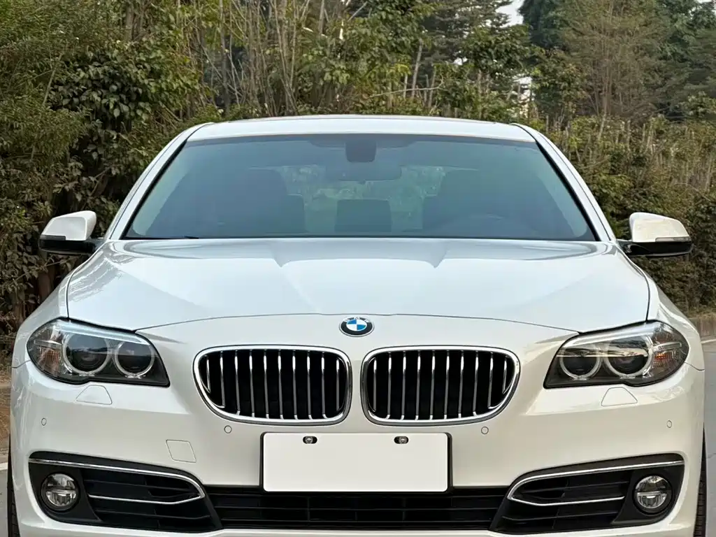 BMW 5 Series 2014