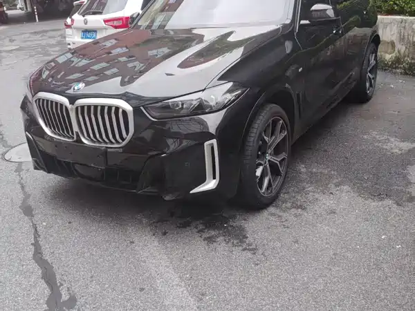 BMW X5 2025