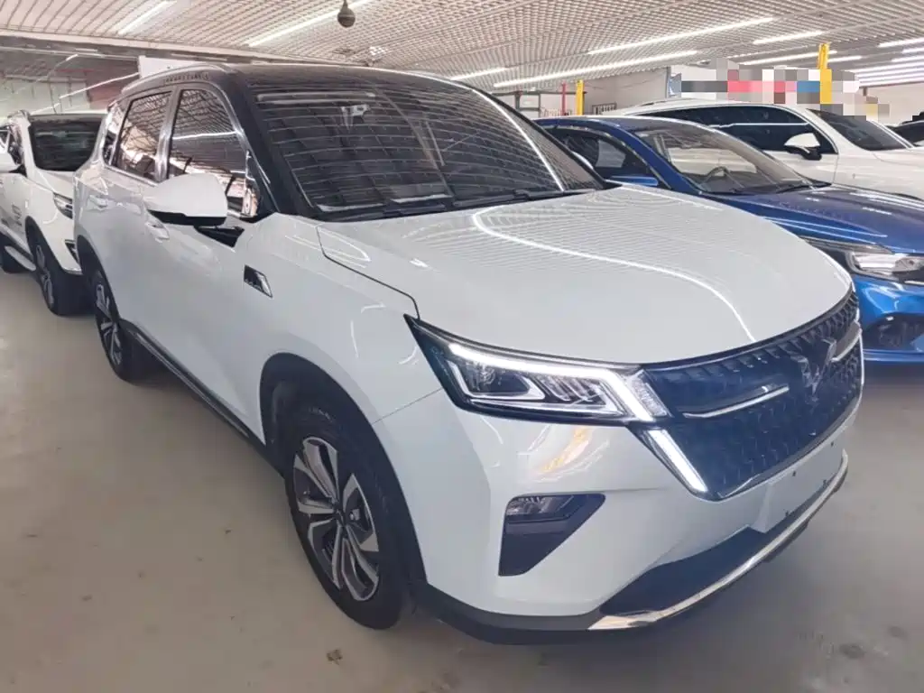 Wuling Star 2024