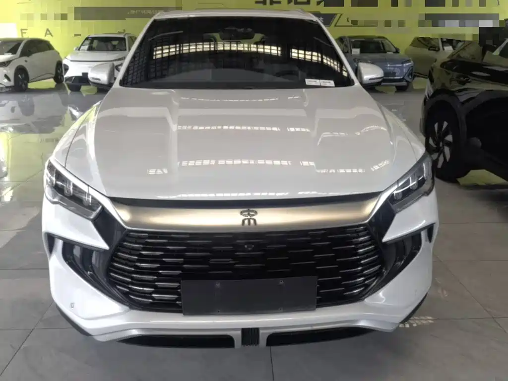 BYD Song Pro New Energy 2024 — фото 3