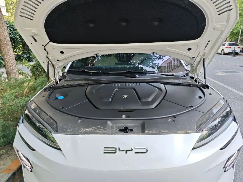 BYD PLUS New Energy 2023 — фото 11