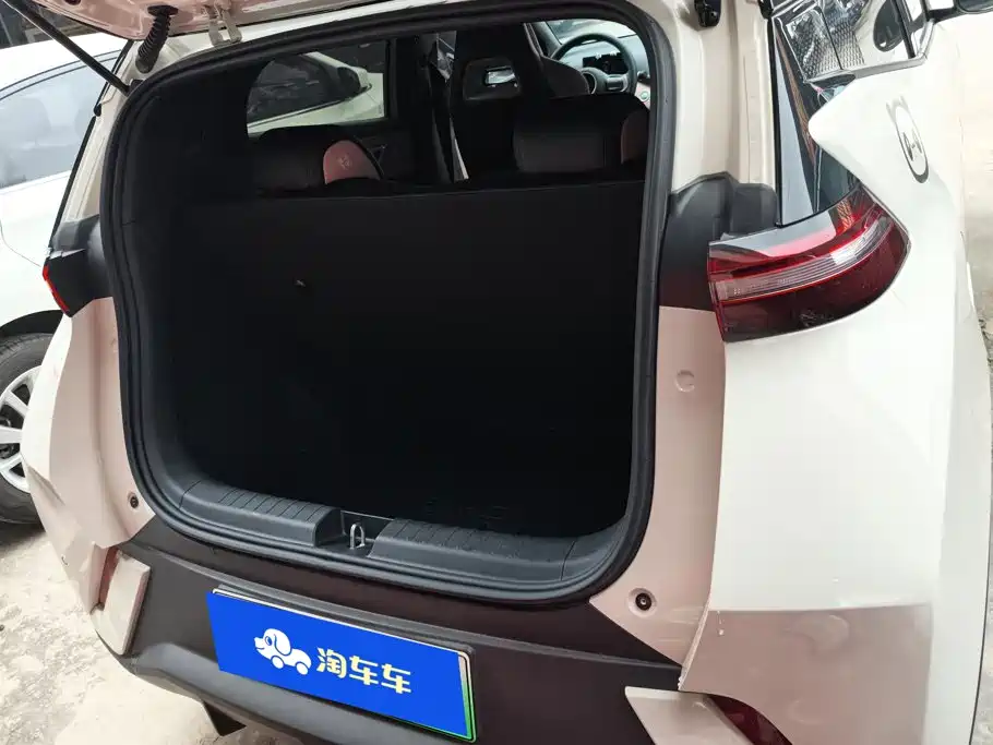 BYD Seagull 2024
