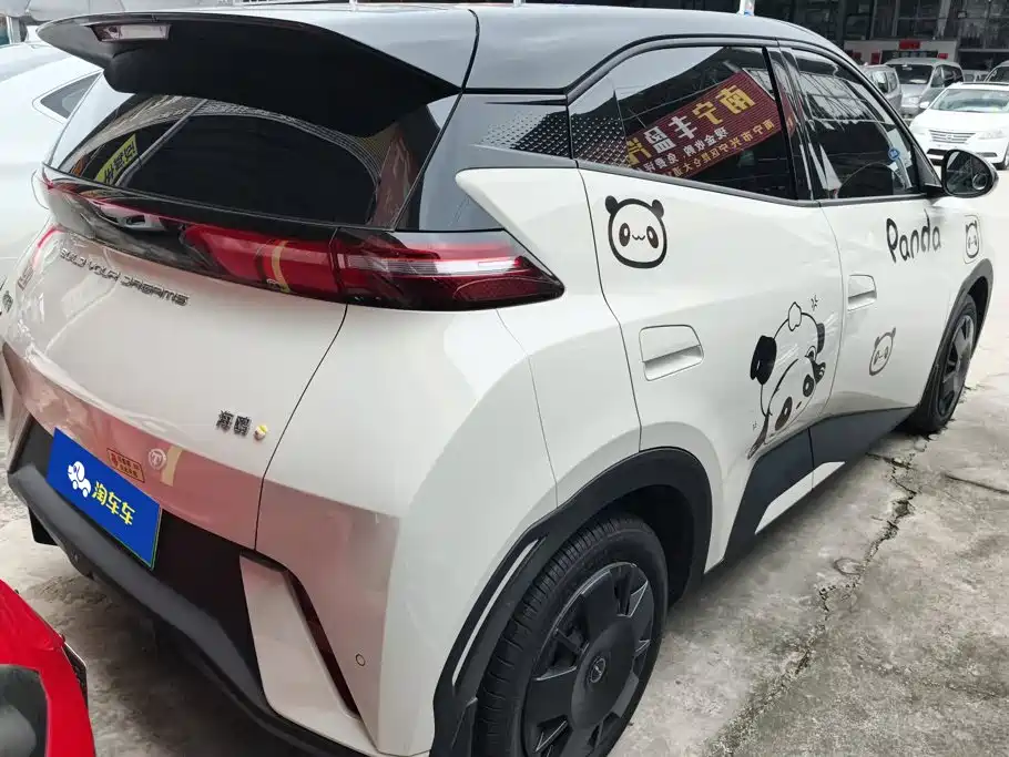 BYD Seagull 2024