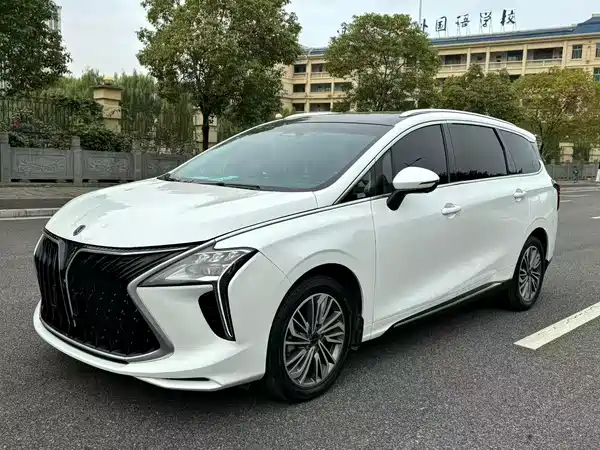 Dongfeng Popular Yacht 2023