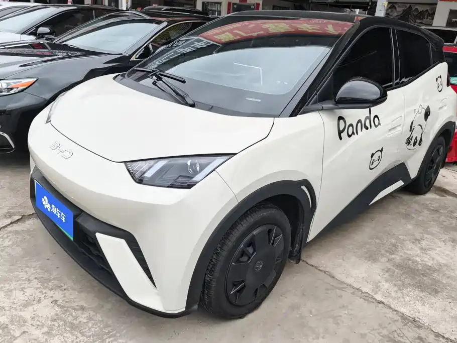 BYD Seagull 2024