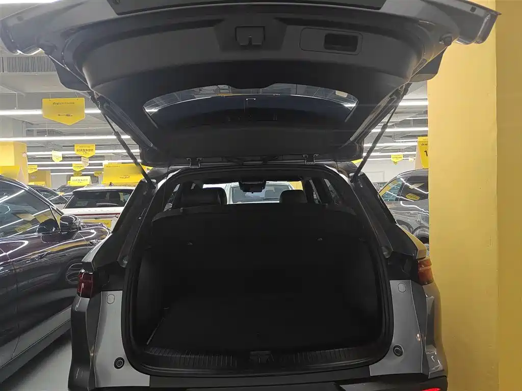 BYD Pro New Energy 2025 — фото 15