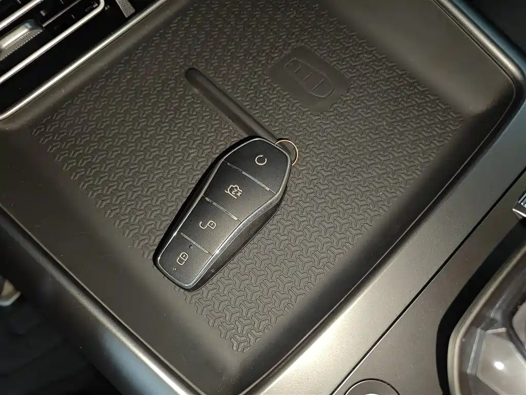 BYD Pro New Energy 2025 — фото 17