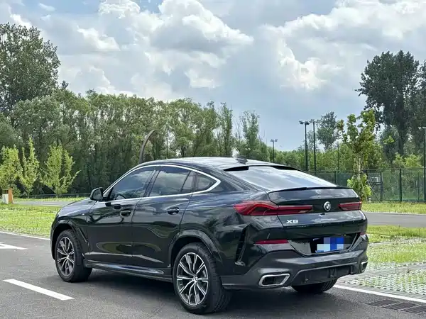 BMW X6 2020