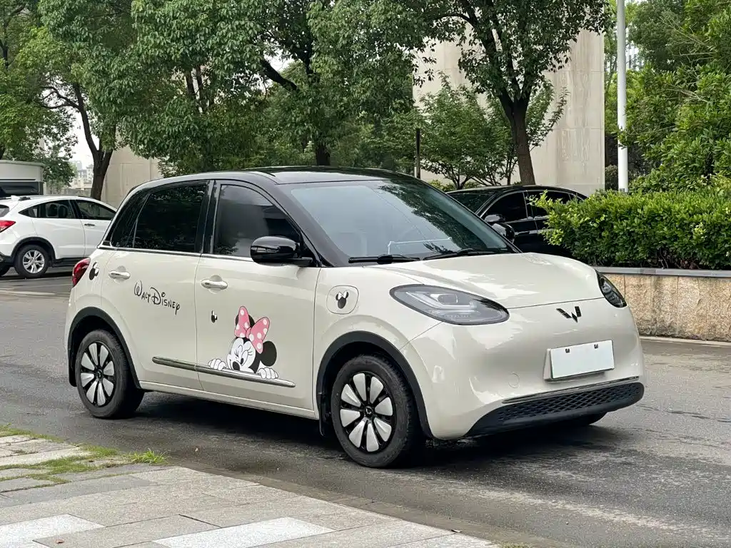 Wuling Bingo 2024