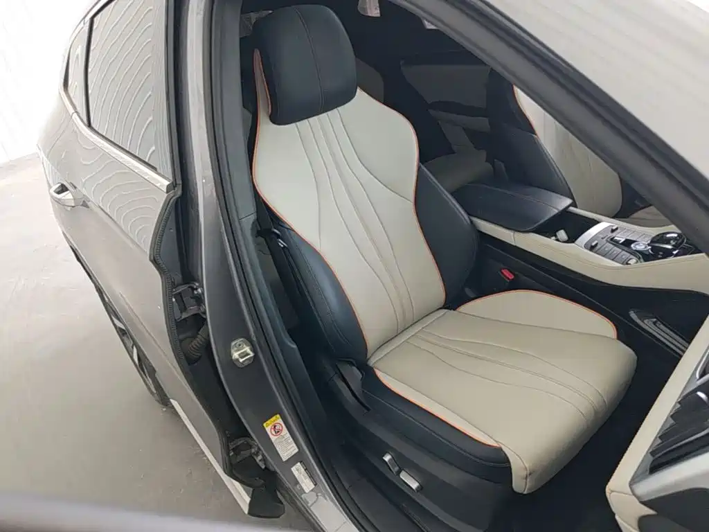 BYD Song PLUS New Energy 2021 — фото 25