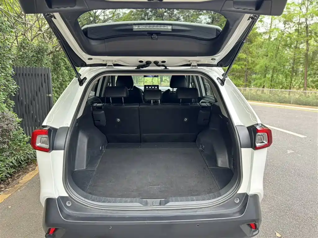 Toyota Wildlander 2021 — фото 15