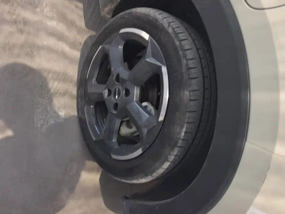 BYD Seagull 2024
