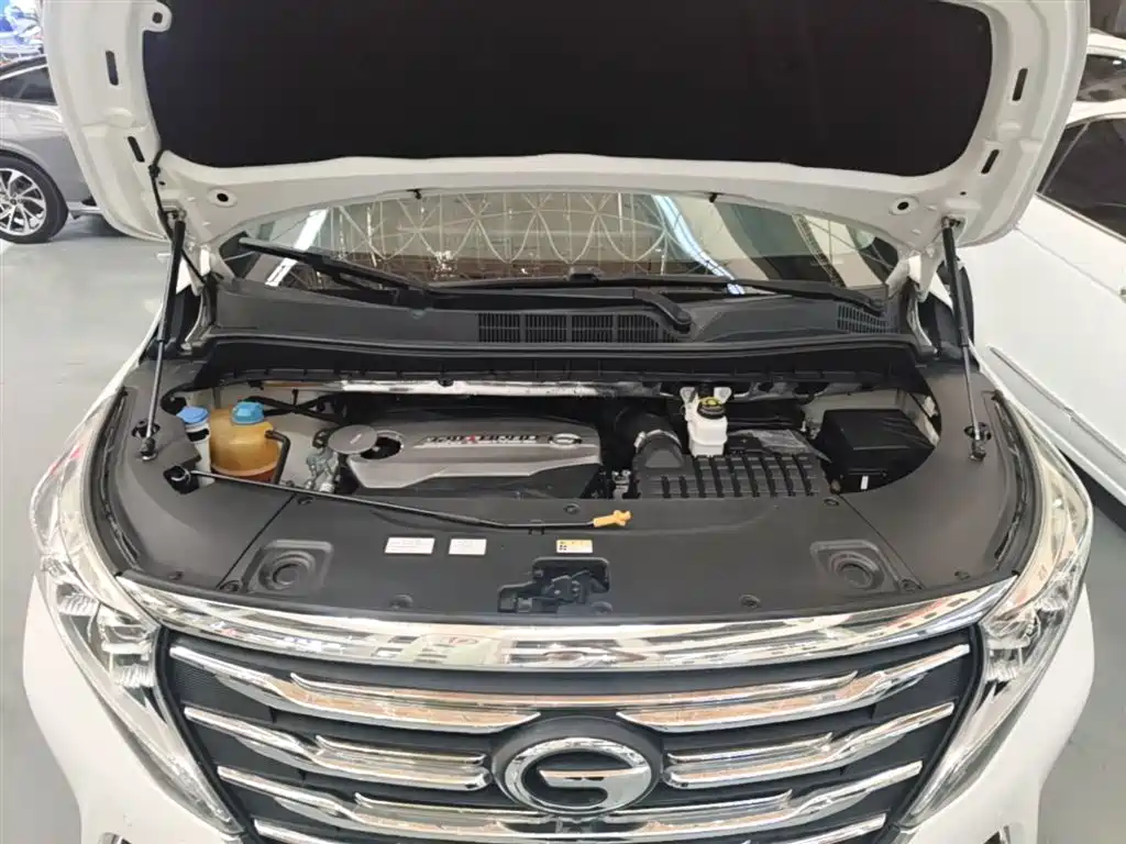GAC Motor Trumpchi M8 2019 — фото 20
