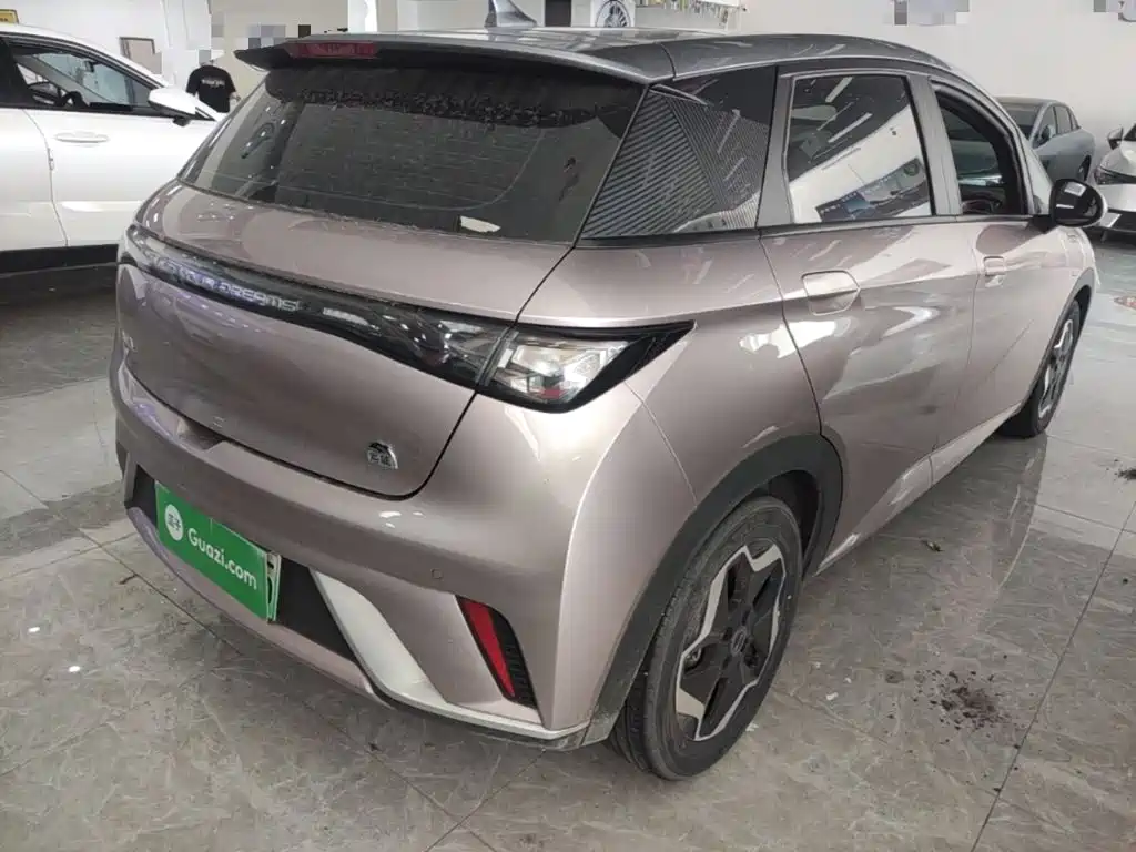 BYD Dolphin 2022