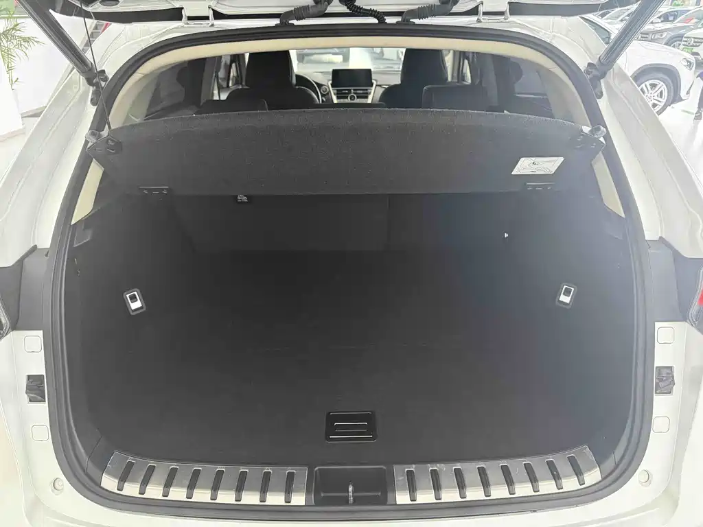 Lexus NX 2021 — фото 19