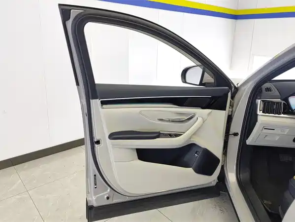 BYD Song PLUS New Energy 2024