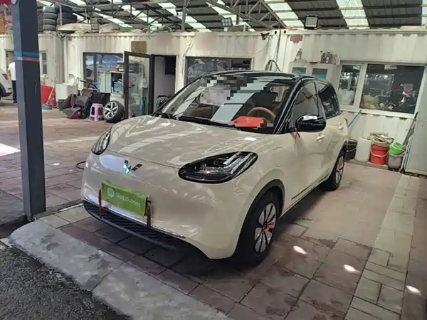Wuling Bingo 2025