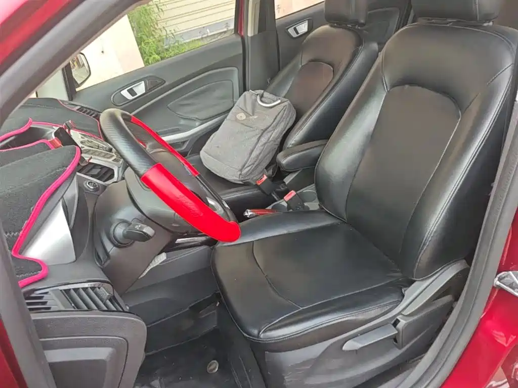 Ford Ecosport 2016 — фото 14