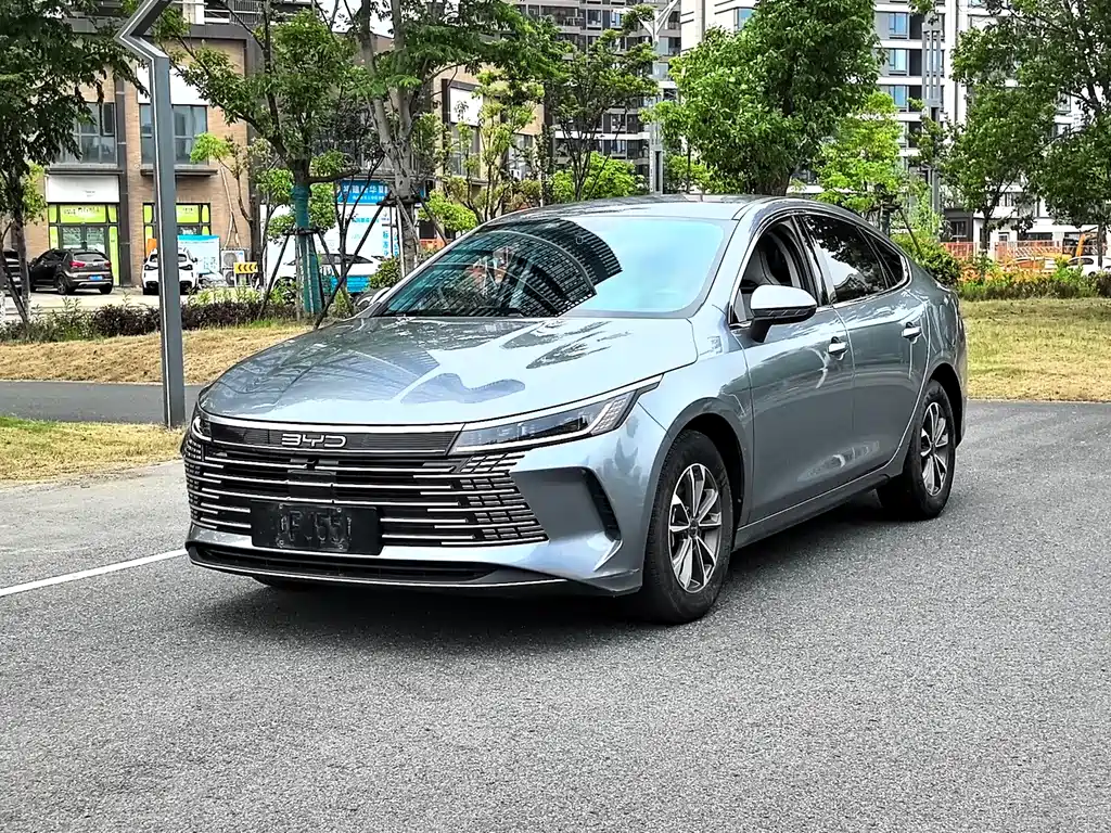 BYD Destroyer 05 2024 — фото 1