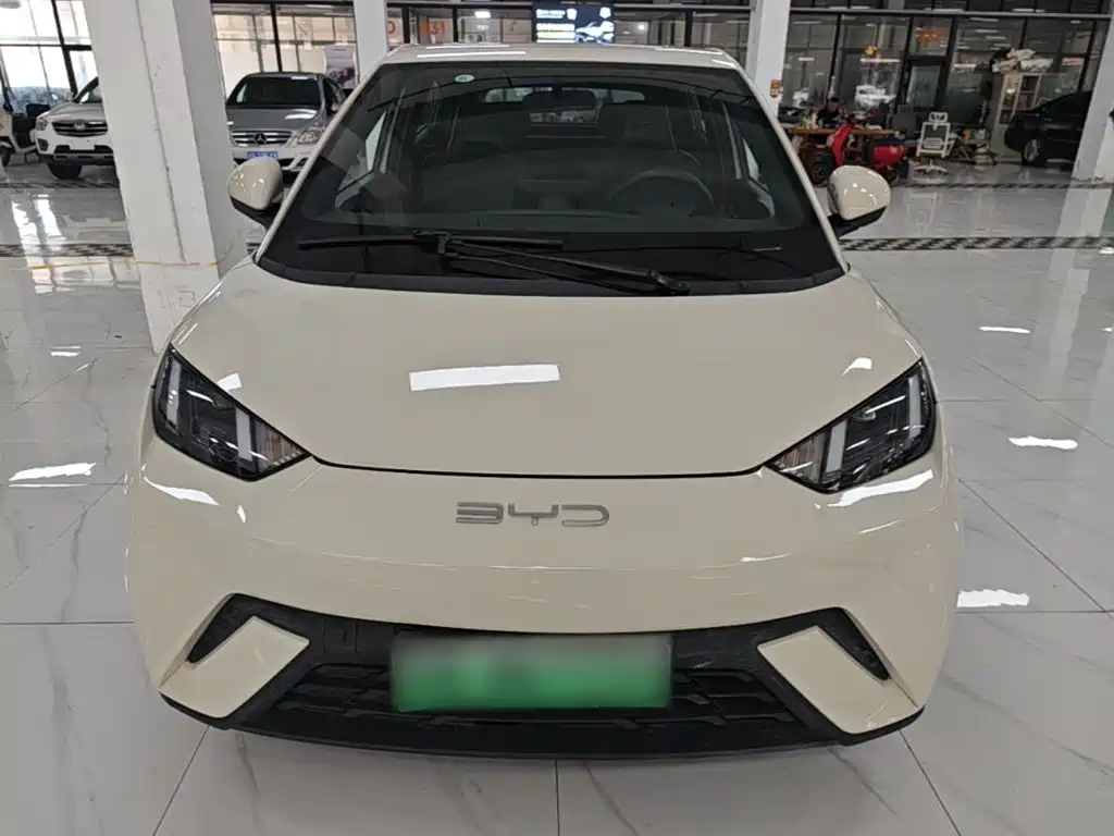 BYD Seagull 2024