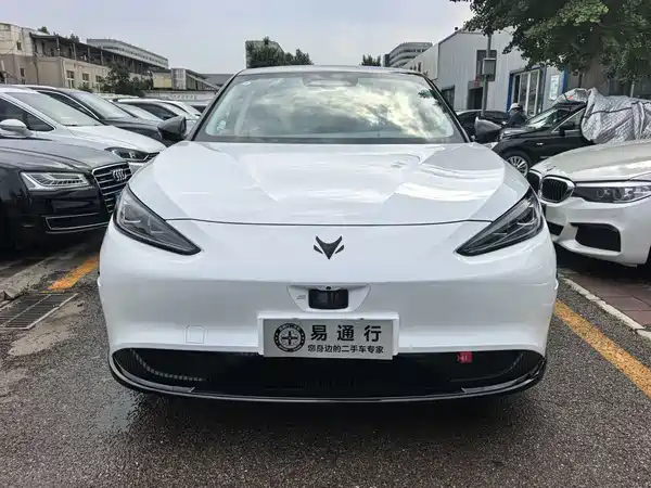 Arcfox Alpha S 2024
