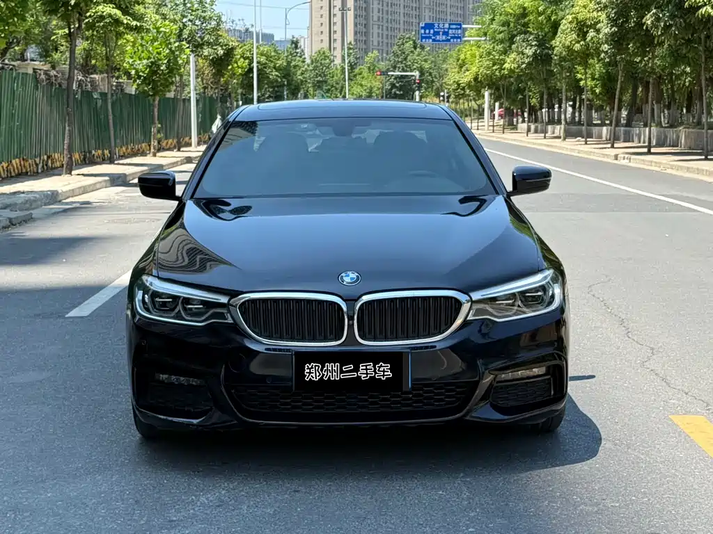 BMW 5 Series 2019