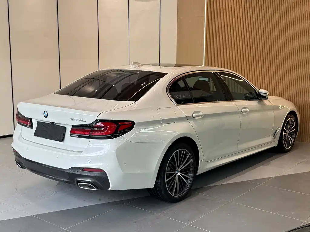 BMW 5 Series 2020 — фото 18