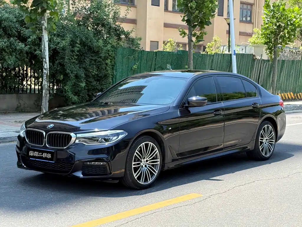 BMW 5 Series 2019
