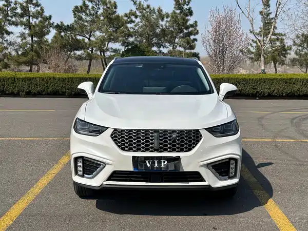 Wey VV5 2021