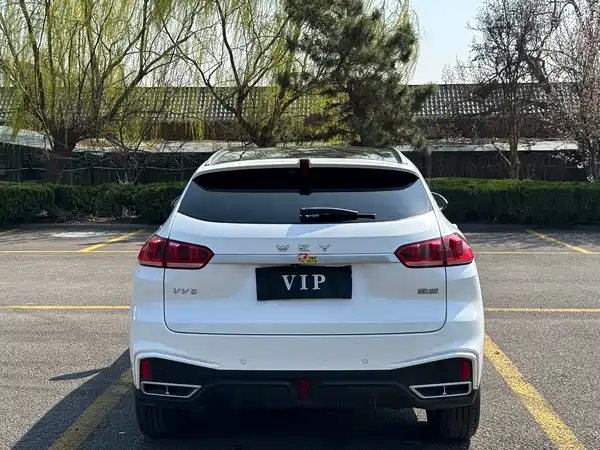 Wey VV5 2021