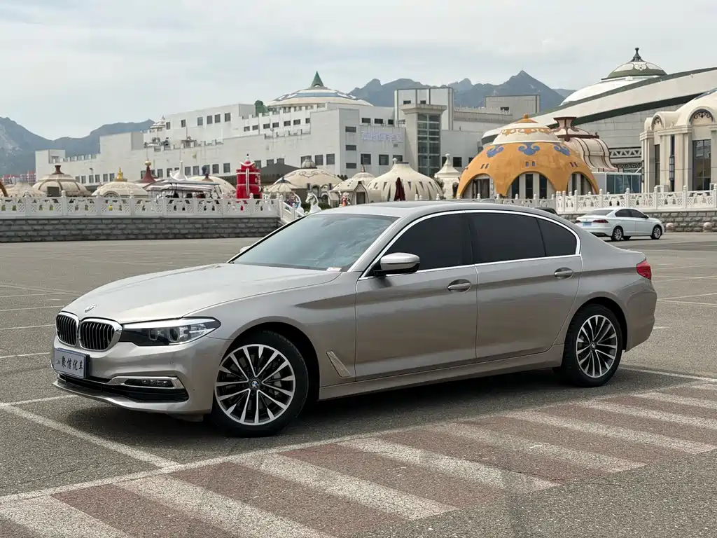 BMW 5 Series 2019