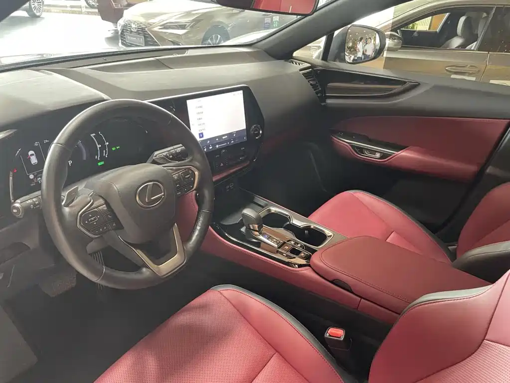 Lexus NX New Energy 2023 — фото 14