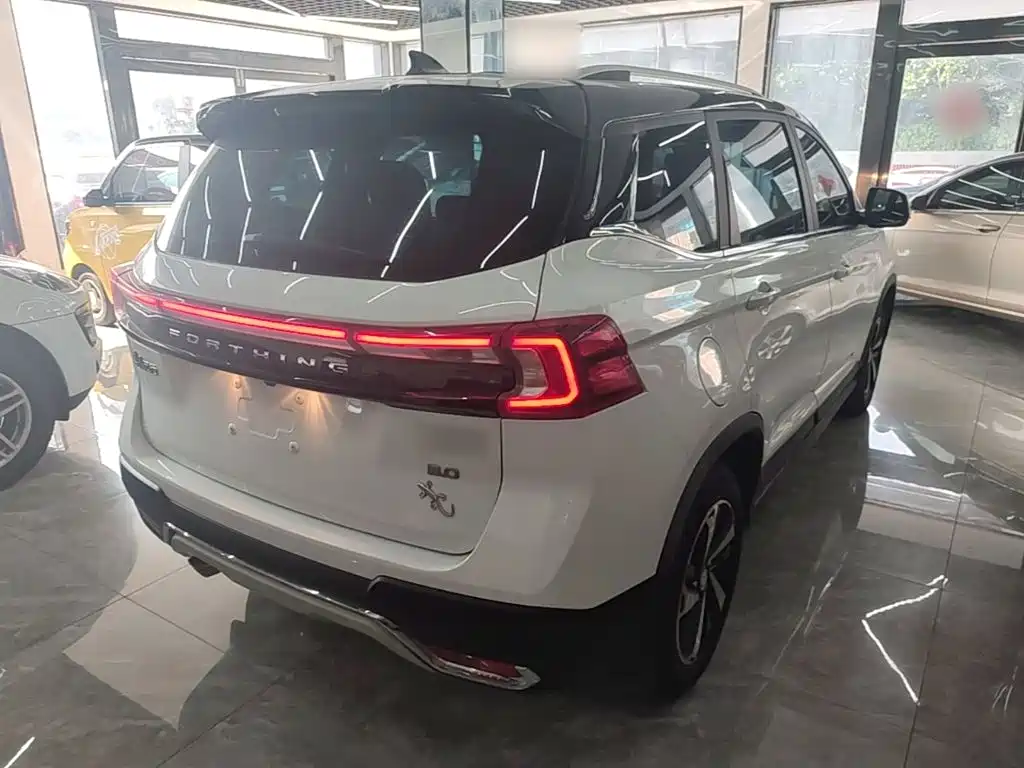 Dongfeng Fengxing T5 2019