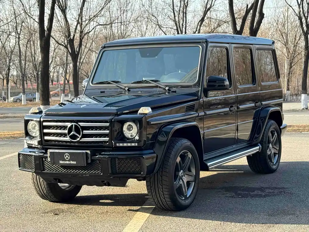 Mercedes-Benz G-Class 2018 — фото 3