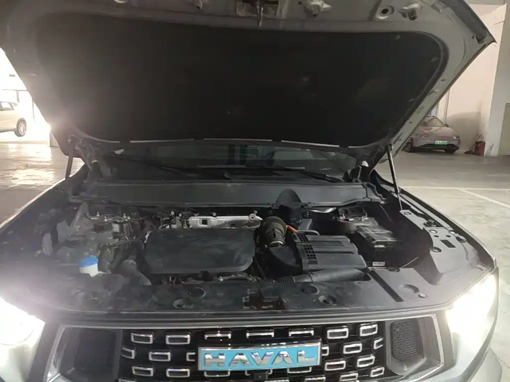 Haval Big Dog PLUS New Energy 2023 — фото 20